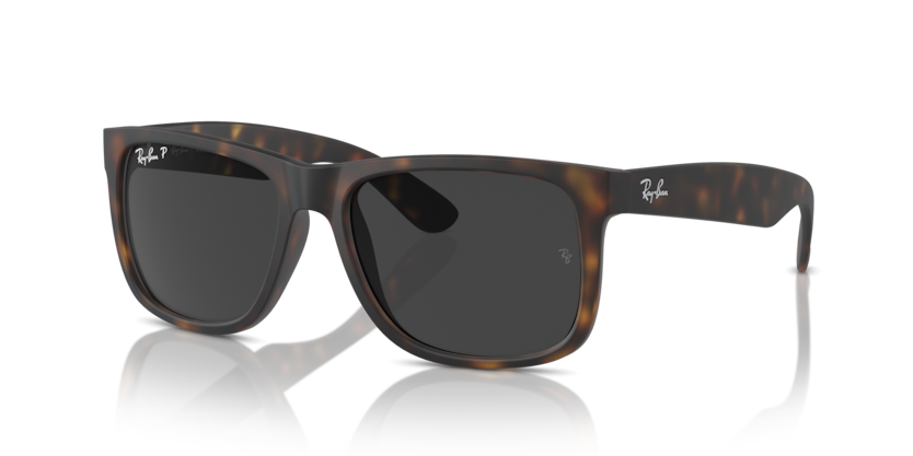 Ray Ban 4165F Justin