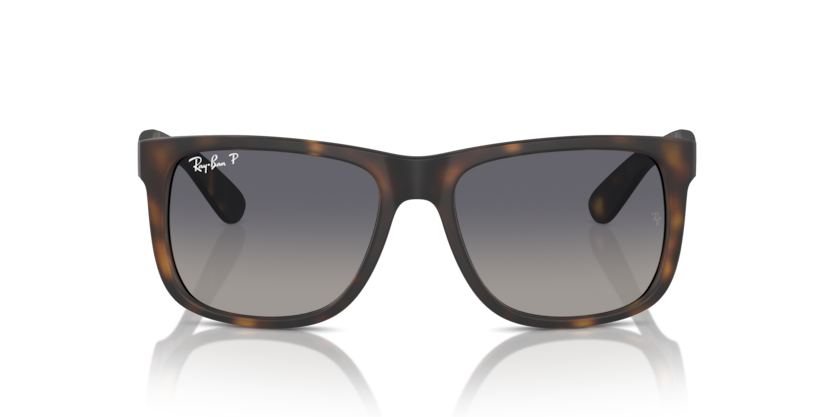 Ray Ban 4165F Justin