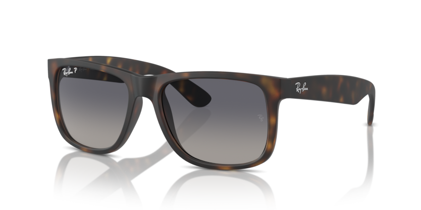 Ray Ban 4165F Justin