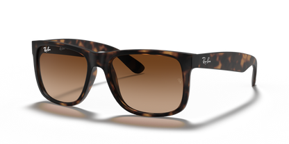 Ray Ban 4165 Justin