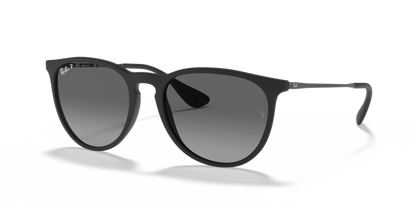 Ray Ban 4171F Erika