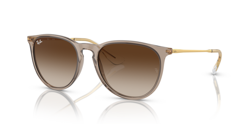 Ray Ban 4171F Erika