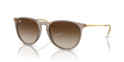 Ray Ban 4171F Erika