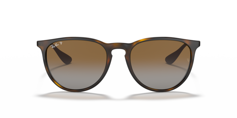 Ray Ban 4171F Erika