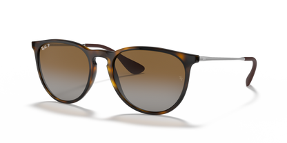 Ray Ban 4171F Erika