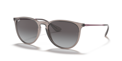 Ray Ban  4171 Erika