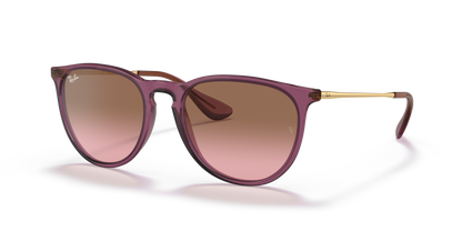 Ray Ban  4171 Erika