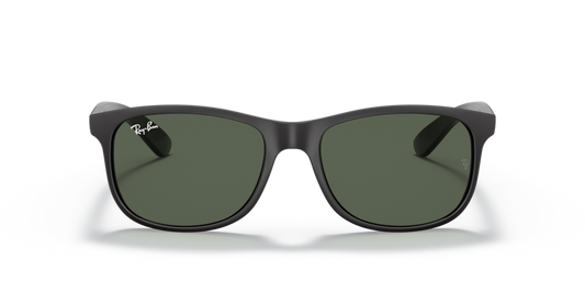 Ray Ban 4202 Andy