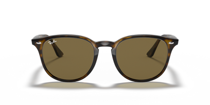 Ray Ban 4259