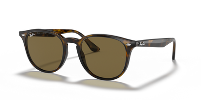 Ray Ban 4259