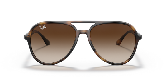 Ray Ban 4376