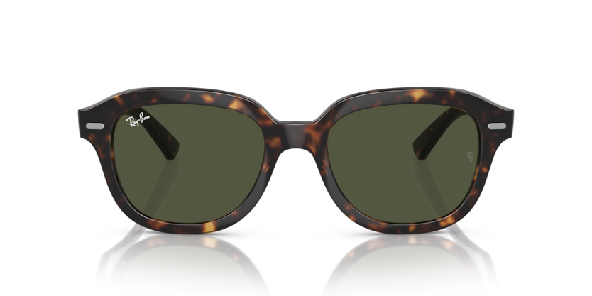 Ray Ban 4398 Erik