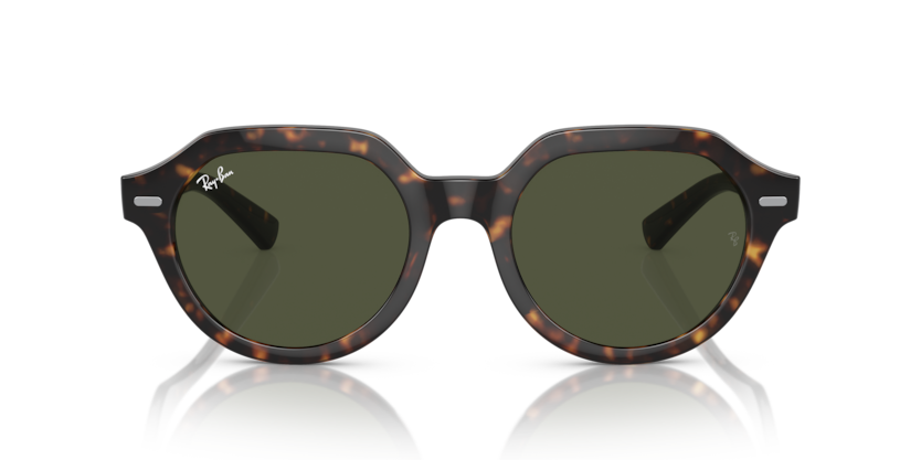 Ray Ban 4399 Gina