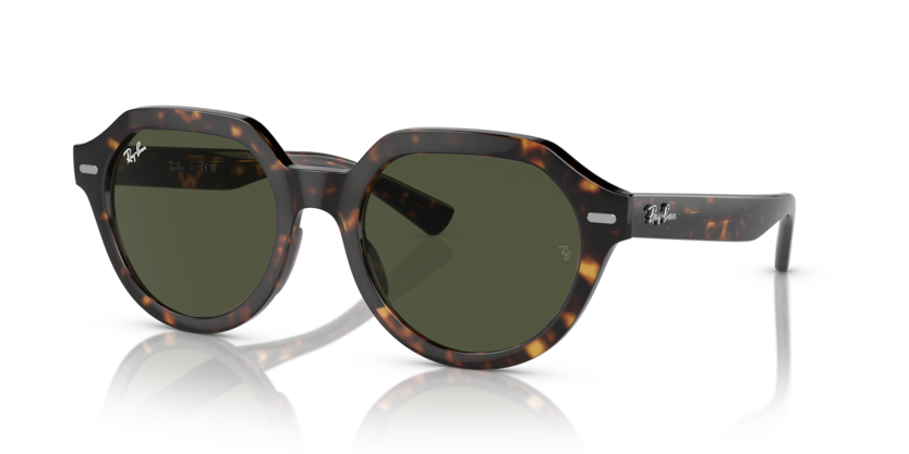 Ray Ban 4399 Gina