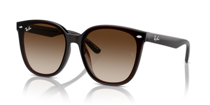 Ray Ban 4423D