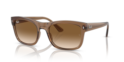 Ray Ban 4428