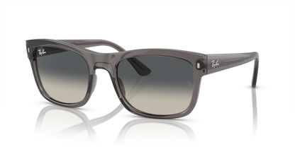 Ray Ban 4428F