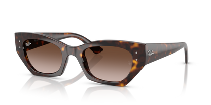 Ray Ban Zena 4430