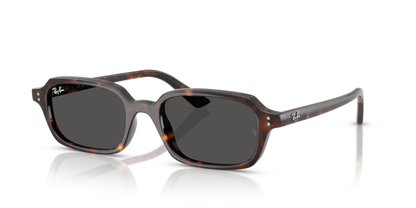 Ray Ban 4455 Zuri
