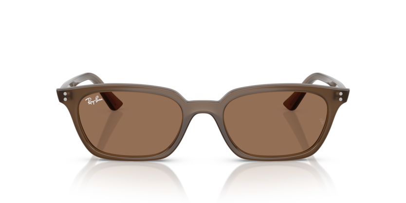 Ray Ban 4456 Zaya