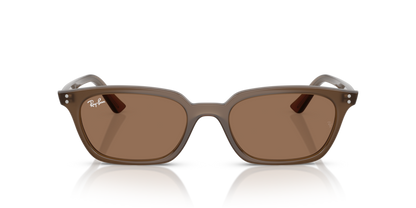 Ray Ban 4456 Zaya