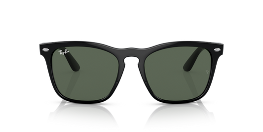 Ray Ban 4487 Steve