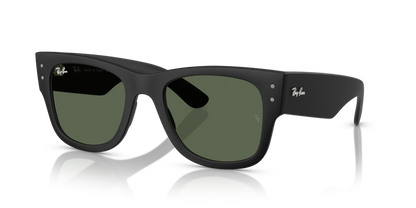 Ray Ban 4840S