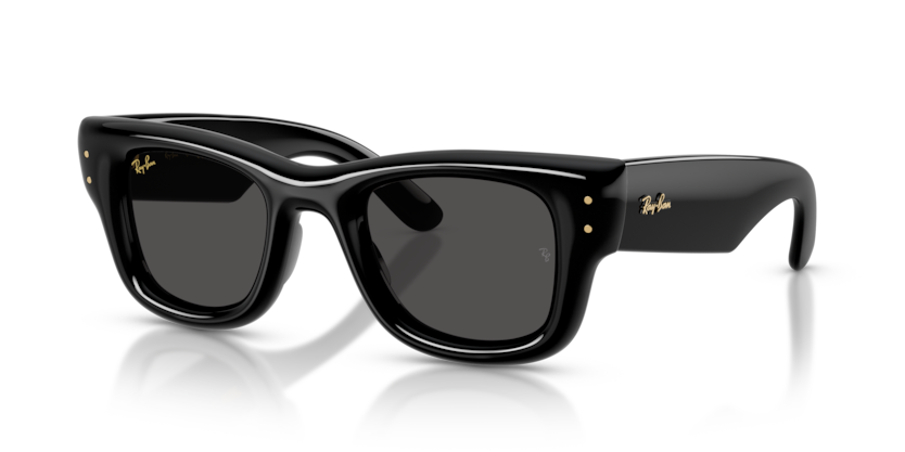 Ray-Ban 4940 Wayfarer Puffer