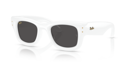Ray-Ban 4940 Wayfarer Puffer