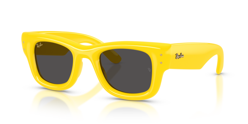 Ray Ban 4940 Wayfarer Puffer