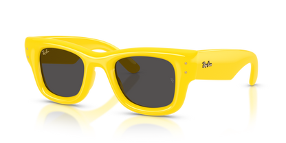 Ray Ban 4940 Wayfarer Puffer