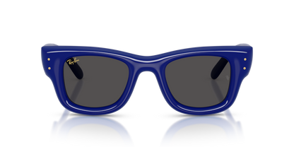 Ray-Ban 4940 Wayfarer Puffer