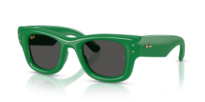 Ray-Ban 4940 Wayfarer Puffer