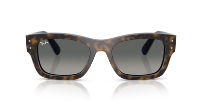 Ray Ban 7683S Joseph