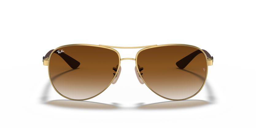 Ray Ban 8313