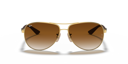 Ray Ban 8313