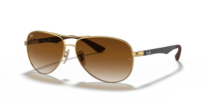 Ray Ban 8313