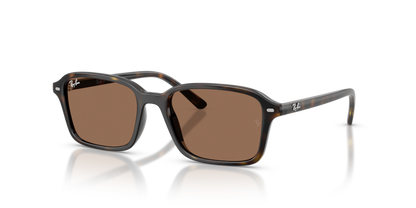 Ray-Ban Junior 9131S
