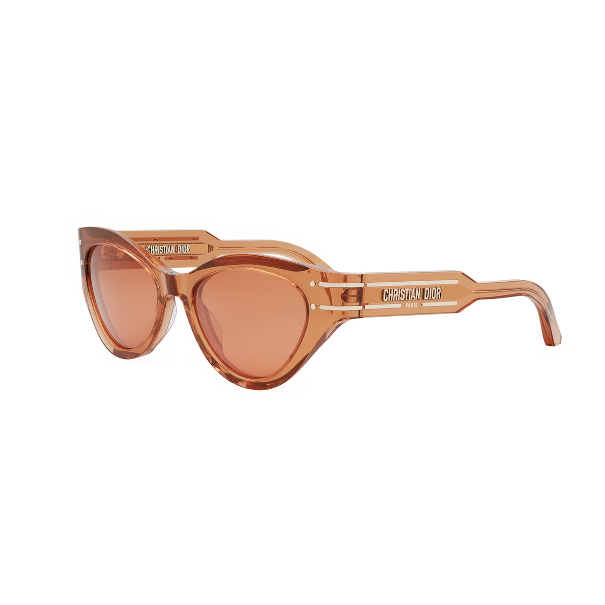 Dior Signature B71