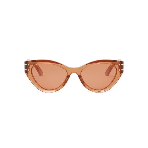 Dior Signature B71