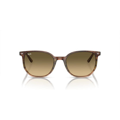 Ray Ban 2197 Elliot