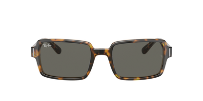 Ray Ban 2189 Benji Havana/Transparent Brown/Dark Grey