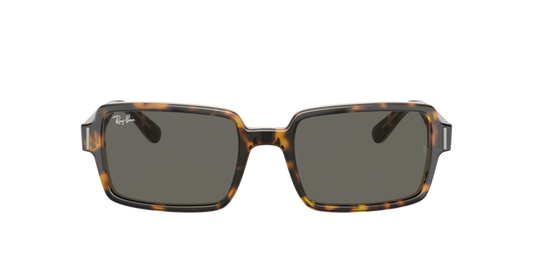 Ray Ban 2189 Benji Havana/Transparent Brown/Dark Grey