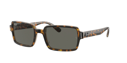 Ray Ban 2189 Benji Havana/Transparent Brown/Dark Grey