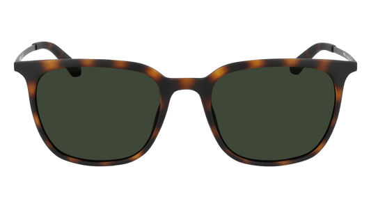 Dragon Ziggy Matte Tortoise LL G15