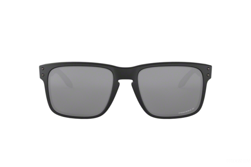 Oakley Holbrook XL Matte Black/Prizm Grey