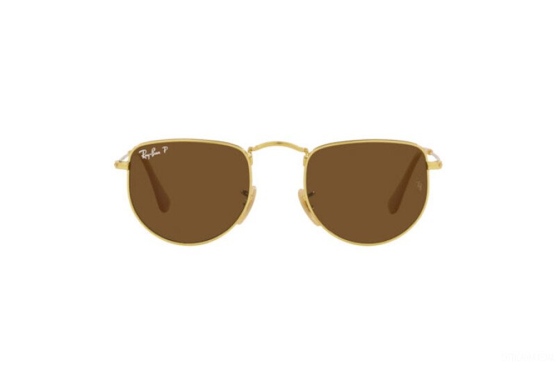 Ray Ban 3958 Elon Legend Gold w Polar Brown