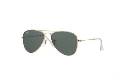 Ray Ban Junior 9506 Gold/G15